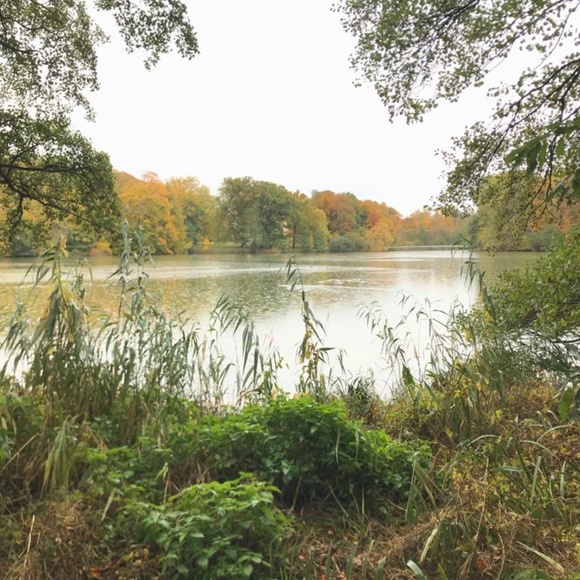 Posher - Picture 1 of 1